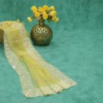 Elegant Floral Embroidered Chiffon Saree